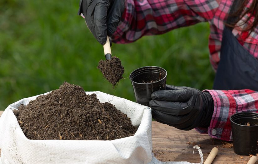 closeup-picture-gardener-s-hands-planting-plant_1150-26607 1