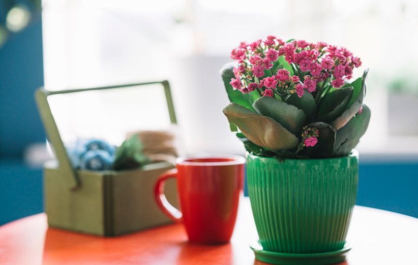 still-life-with-gardening-concept_23-2147999984 1